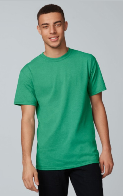 Fruit of the Loom 3930R- Adult HD Cotton Basic Tee (3931)