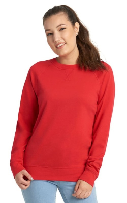 Next Level N9000  -  Unisex French Terry Raglan Tee